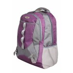 Aqsa ALB54 Stylish Laptop Bag (Purple and Grey)
